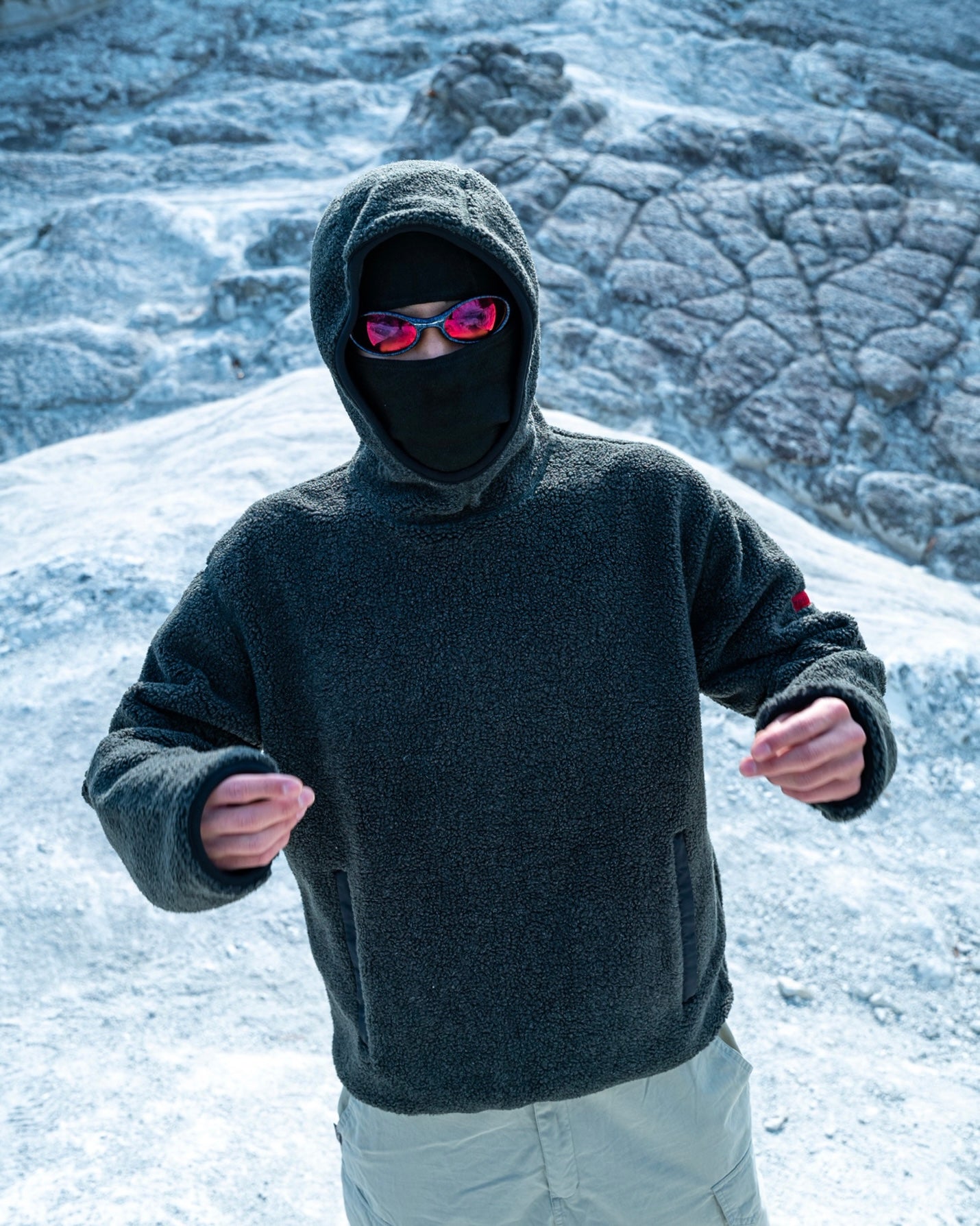 POLO SPORT Sherpa Hoodie